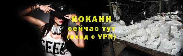ГАЛЛЮЦИНОГЕННЫЕ ГРИБЫ Касимов