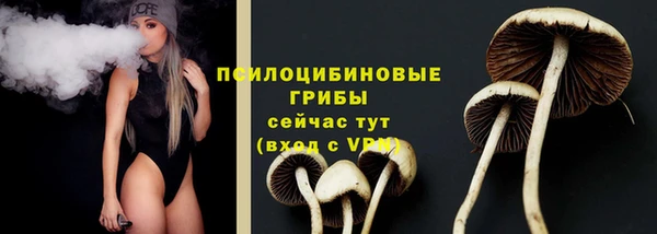 круглые Каменка