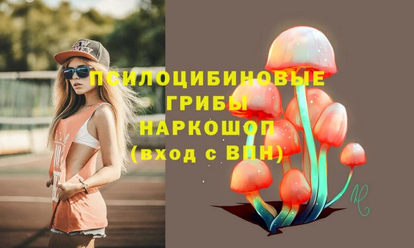 кристаллы Карпинск