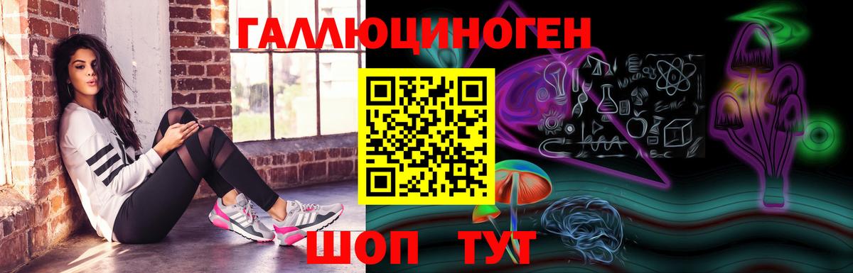 Галлюциногенные грибы мухоморы Мончегорск